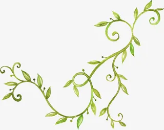 手绘花藤免抠