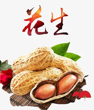 花生米花生壳免抠