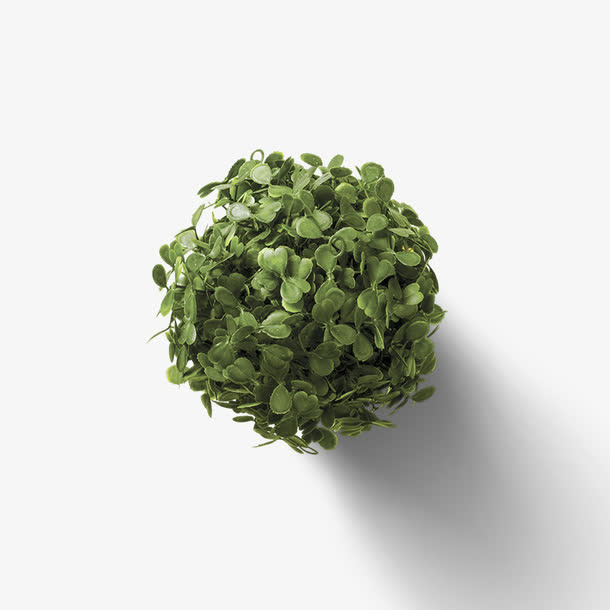 满天星盆栽免抠装饰植物元素