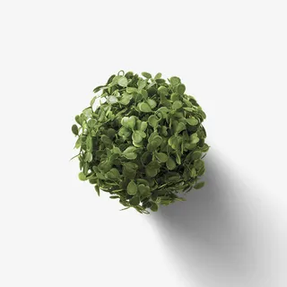 满天星盆栽免抠装饰植物元素 满天星盆栽免抠装饰植物元素