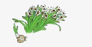 水墨水仙花免抠