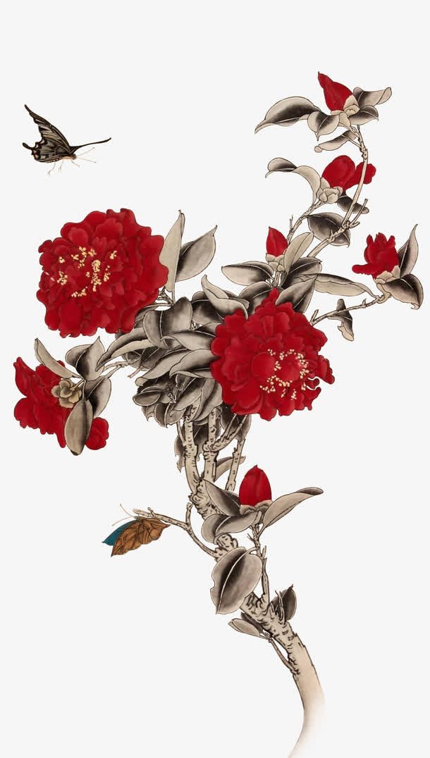 国画牡丹花免抠