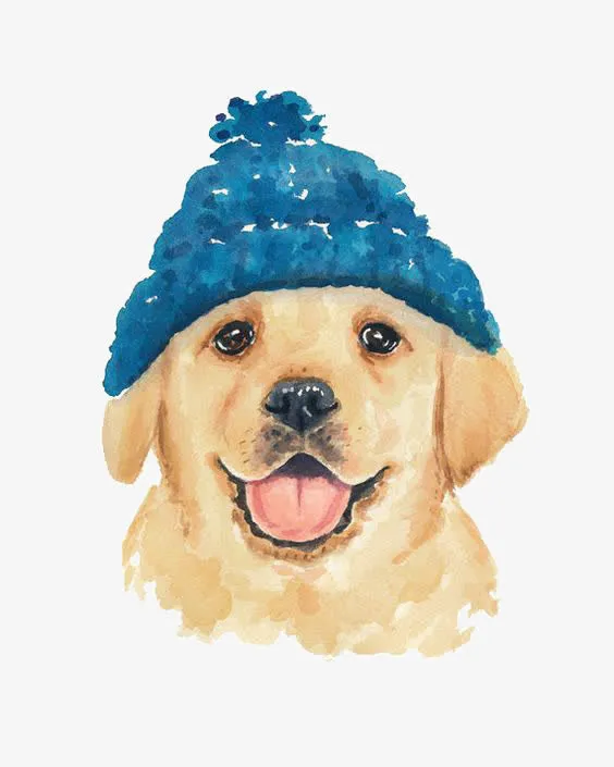 卡通金毛犬免抠