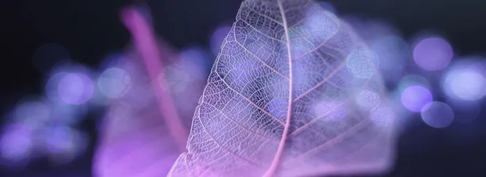 淘宝背景高清