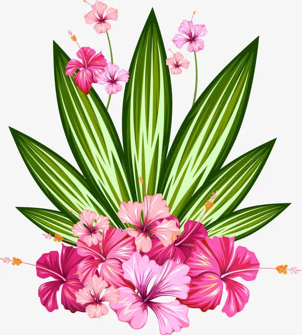 盛开的花簇免抠