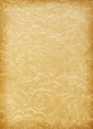 复古花纹纸张背景02