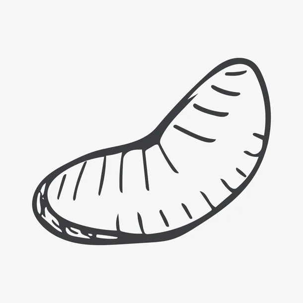 手绘橘子免抠