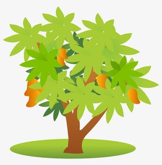 手绘芒果树png免抠
