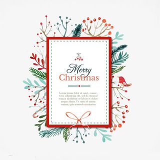 圣诞植物装饰标签免抠