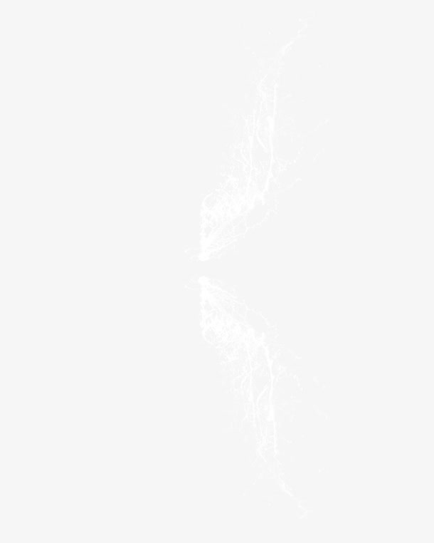 蝴蝶水花免抠