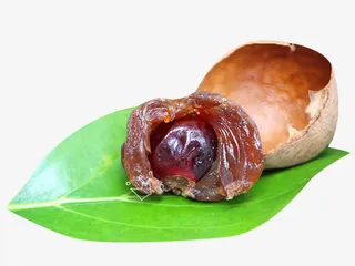 新鲜特质龙眼干素材免抠