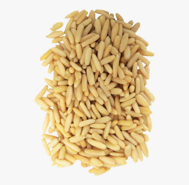 麦子食材免抠