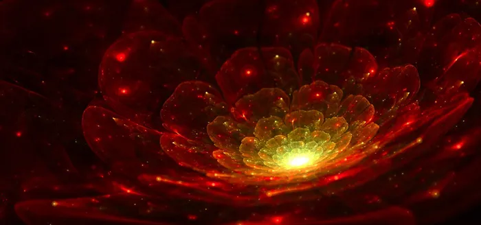 3D花特效高清