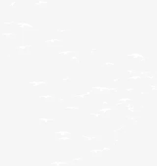 白色清新飞鸟群免抠