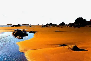 沙滩海岸自然景观免抠