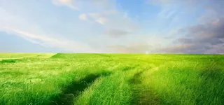 蓝天白云草原背景免抠