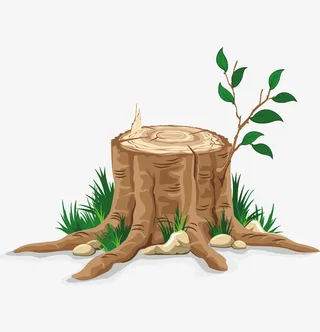 手绘扁平树桩年轮免抠