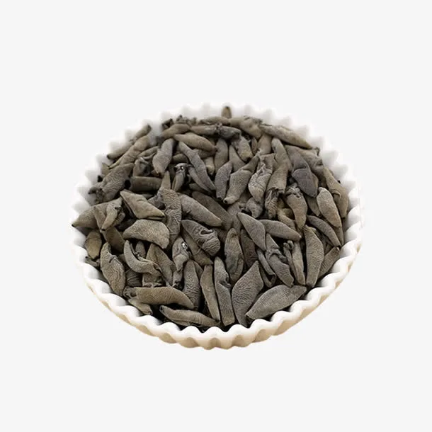 野生黑木耳免抠