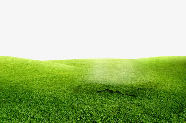 草地免抠