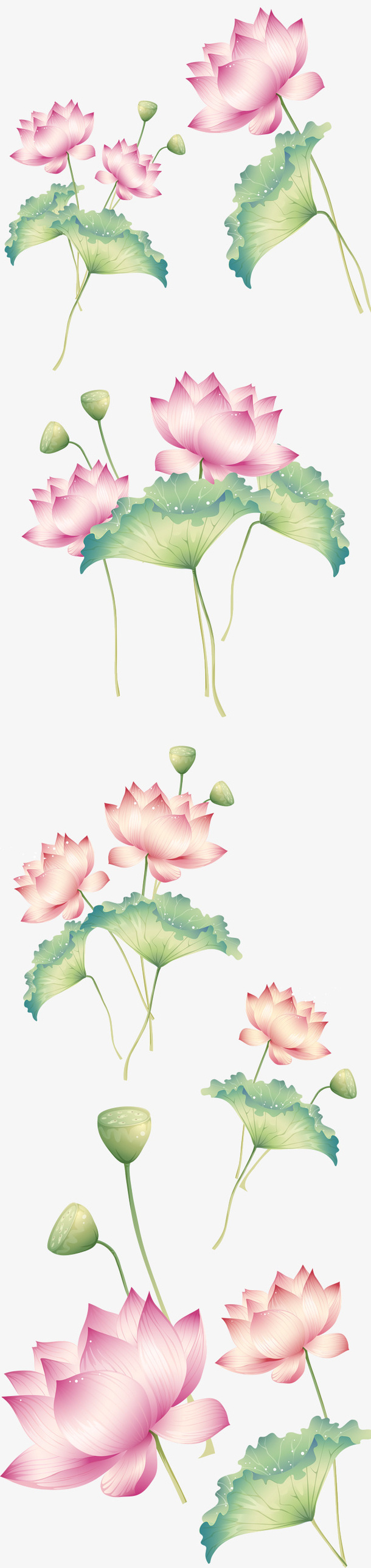 ，，荷花荷叶png素材免扣免抠