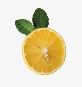 柠檬切面免抠