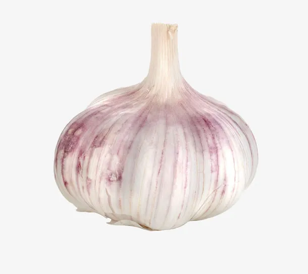 蒜头摄影免抠