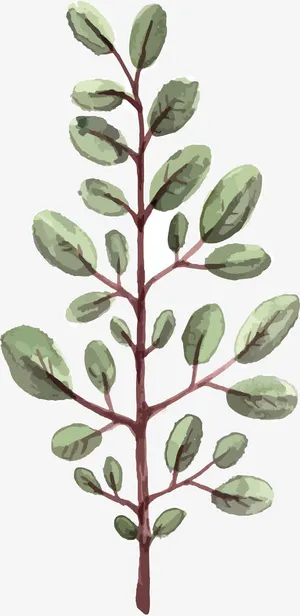手绘树枝PNG下载免抠