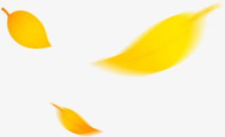 黄色叶子绿叶免抠