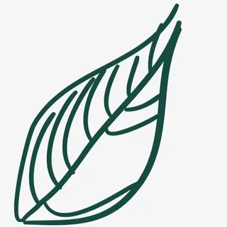 手绘 鲜花 动物 花瓣 蜡笔元素免抠