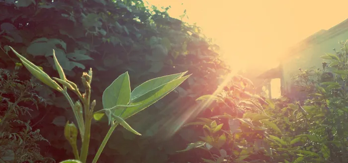淘宝背景图高清
