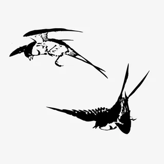 水墨画燕子矢量图免抠 水墨画燕子矢量图免抠