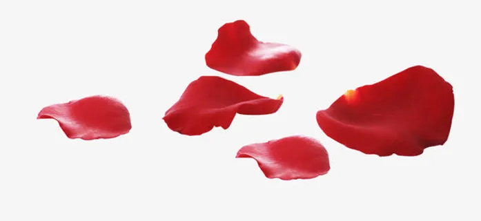 情人节妇女节三八节花瓣免抠节日妇女节元素