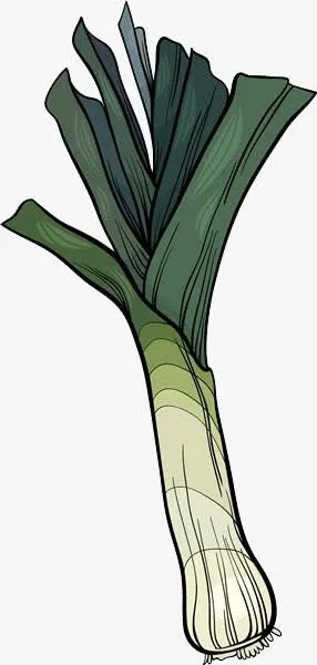 卡通大葱素材免抠