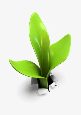 打破地面的小草免抠