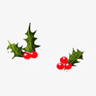红果绿叶免抠