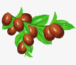 枣和枣叶图片素材免抠