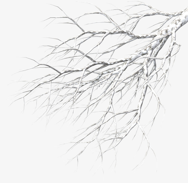 精美手绘水彩中国风冬天覆雪树枝插画素材免抠