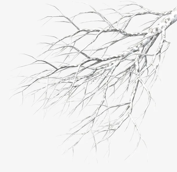 精美手绘水彩中国风冬天覆雪树枝插画素材免抠