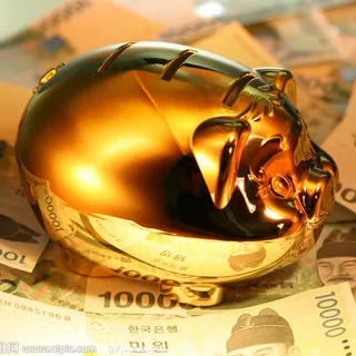 金猪韩元招财进宝高清 金猪韩元招财进宝高清