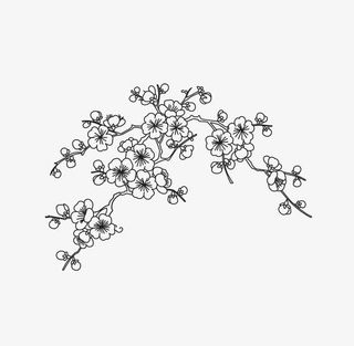 黑白梅花素材免抠