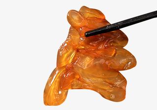 大块透明海蜇素材免抠