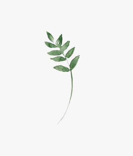 圣诞节手绘花纹素材免抠