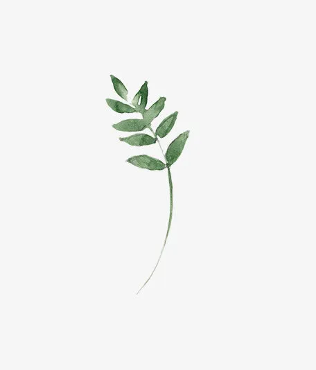 圣诞节手绘花纹素材免抠