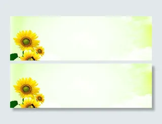 向日葵 花瓣 飘落 绿色高清