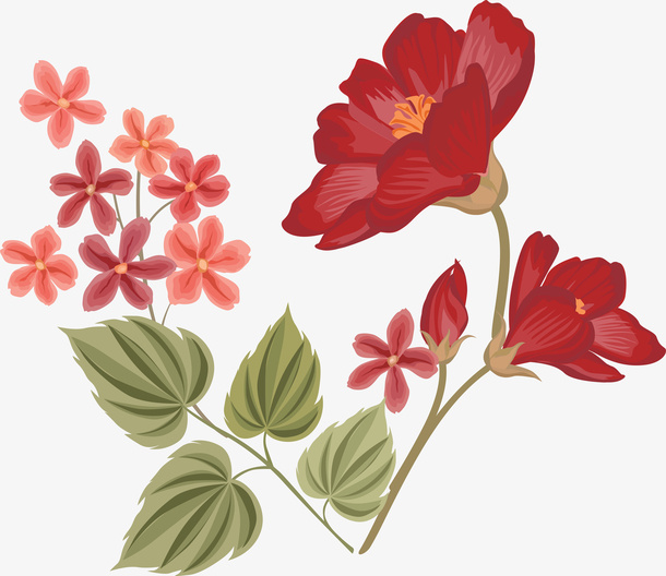 红色盛开的鲜花免抠