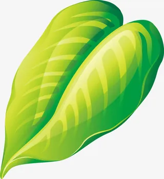 黄绿色清新纹理树叶免抠