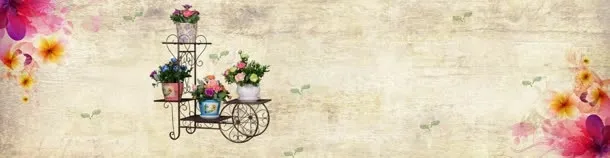 小清新的海报banner