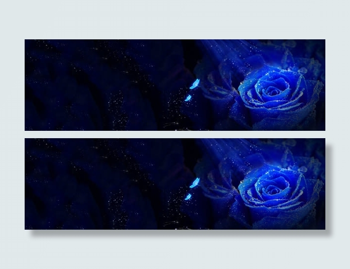 蓝色玫瑰梦幻星光背景banner