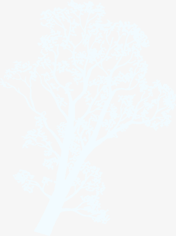 唯美白色大树免抠