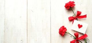 花卉背景图高清